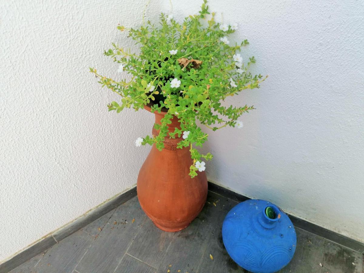 Lilac Homestay Setúbal Dış mekan fotoğraf
